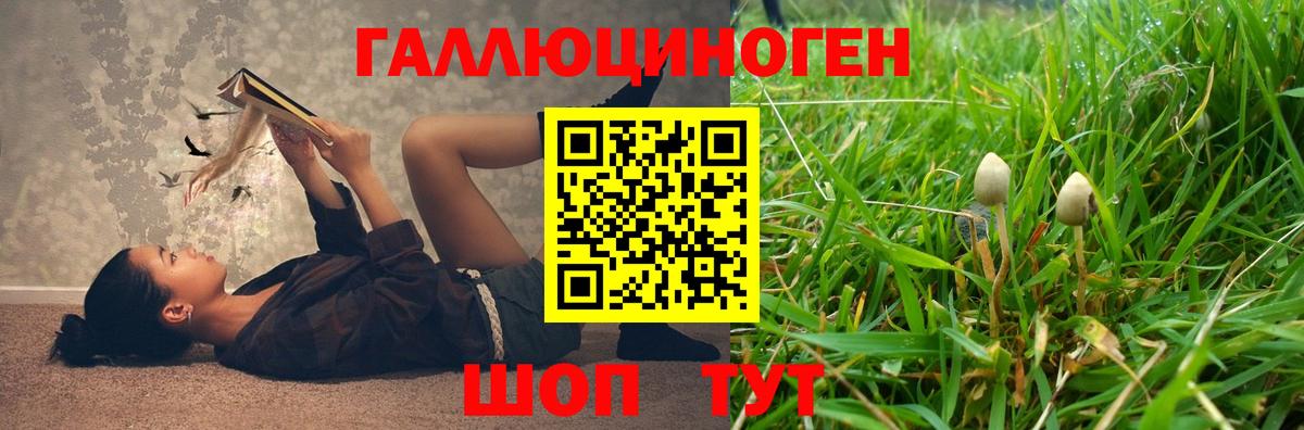 Кизляр  Псилоцибиновые грибы Psilocybine cubensis  Вход с VPN 