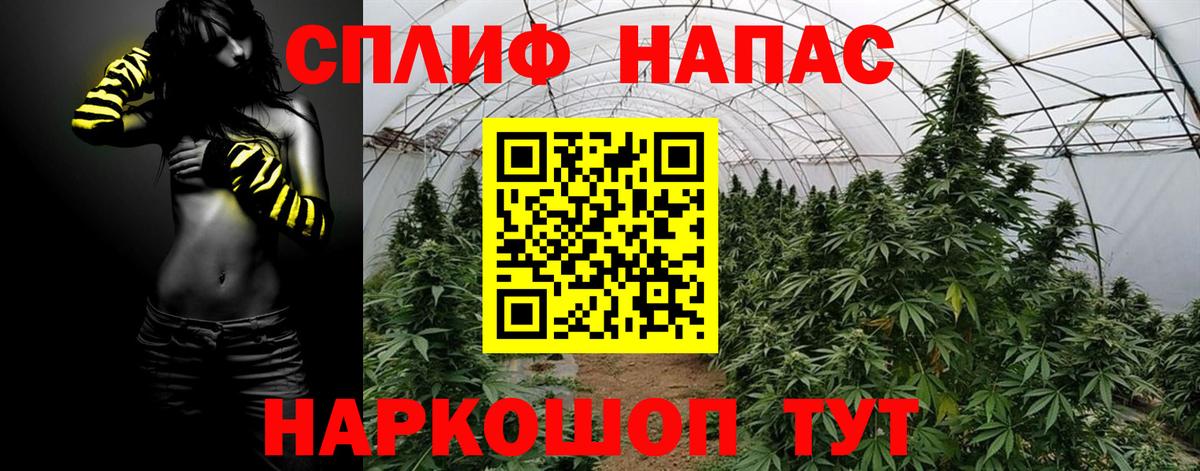 Канабис план  МАРИХУАНА сатива  Бошки марихуана SATIVA & INDICA  Каннабис семена  Кизляр  Вход с VPN 